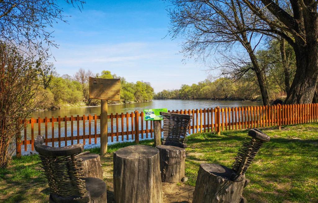 Holiday Home Dika Sveti Martin Na Muri Zewnętrze zdjęcie